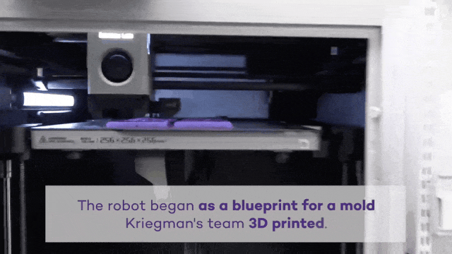 Designing a Walking Robot on a Laptop in Just 26 Seconds