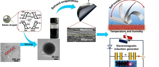 Development of Liquid Metal-Based Self-Oscillating Heterogeneous Films for Energy Harvesting