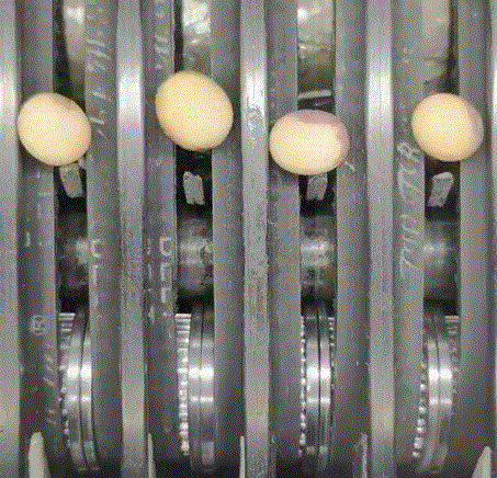 How NVIDIA Jetson NANO Enhances Soybean Yield