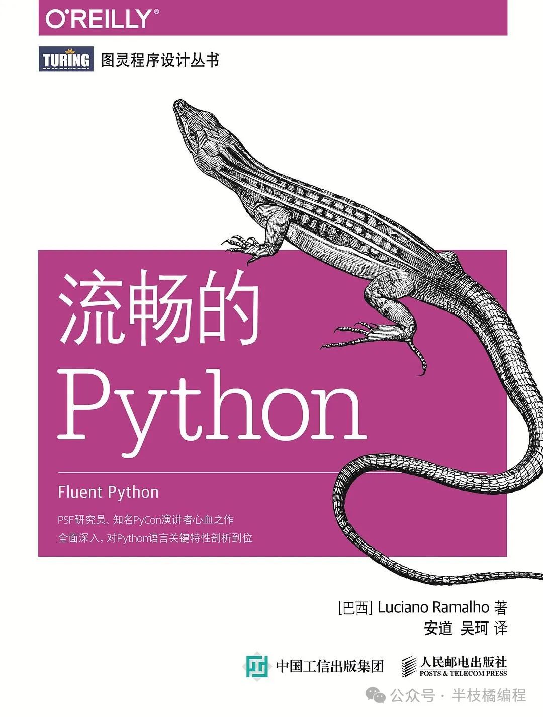 16 Must-Read Python Books for Beginners