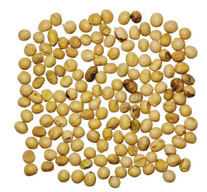 How NVIDIA Jetson NANO Enhances Soybean Yield