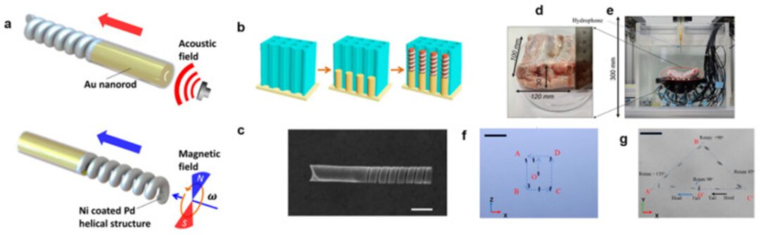 Acoustic Actuators for Micro/Nanorobot Manipulation: Current and Future Perspectives