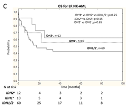 Cladribine Induction Therapy Improves Prognosis in IDH2 Mutant NK-AML Patients