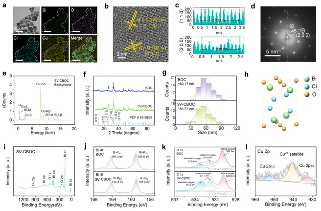 Oxygen Vacancy Piezoelectric Nanosheets for Ultrasound Tumor Therapy