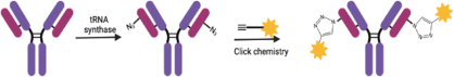 Analysis of Six Classic Point-Coupling Technologies for ADC