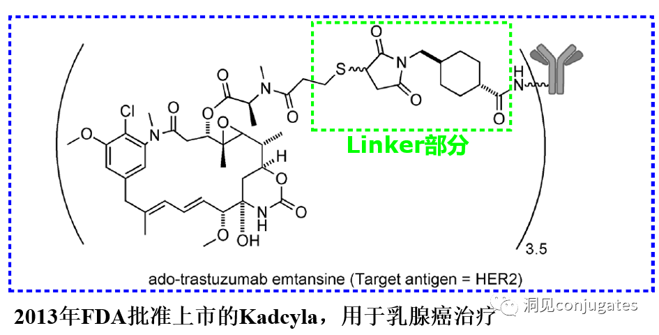 Understanding ADC: Overview, Antibody and Linker Selection