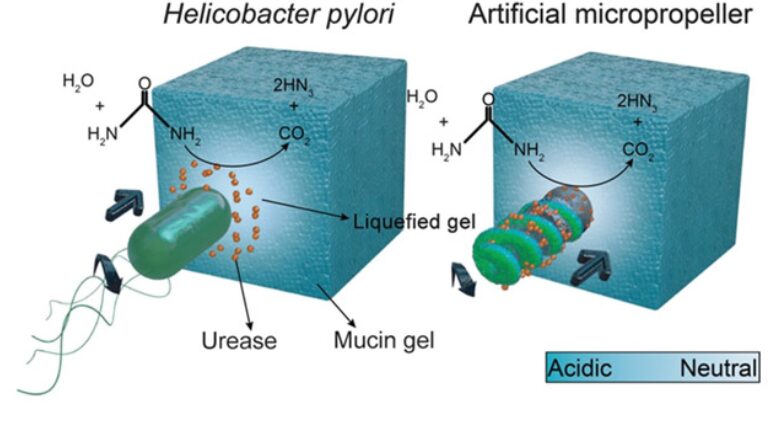 Review: Medical Micro/Nanorobots in Precision Medicine