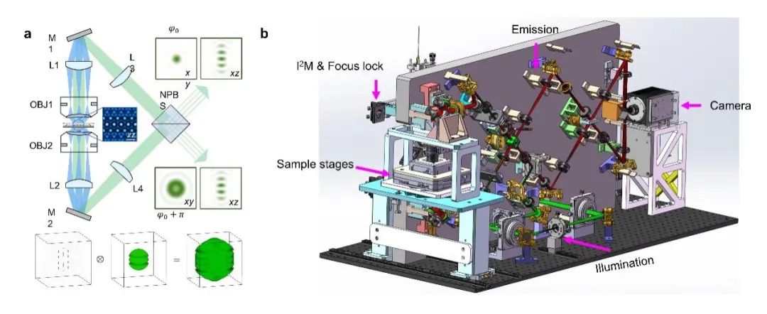 4Pi-SIM Imaging Technology for Live Cell 3D Resolution