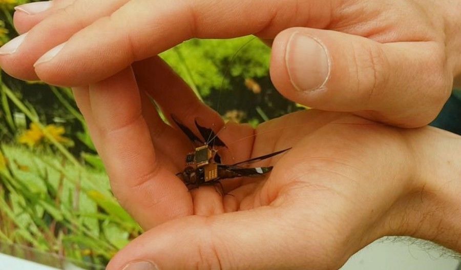 Micro Robots and Their Capabilities