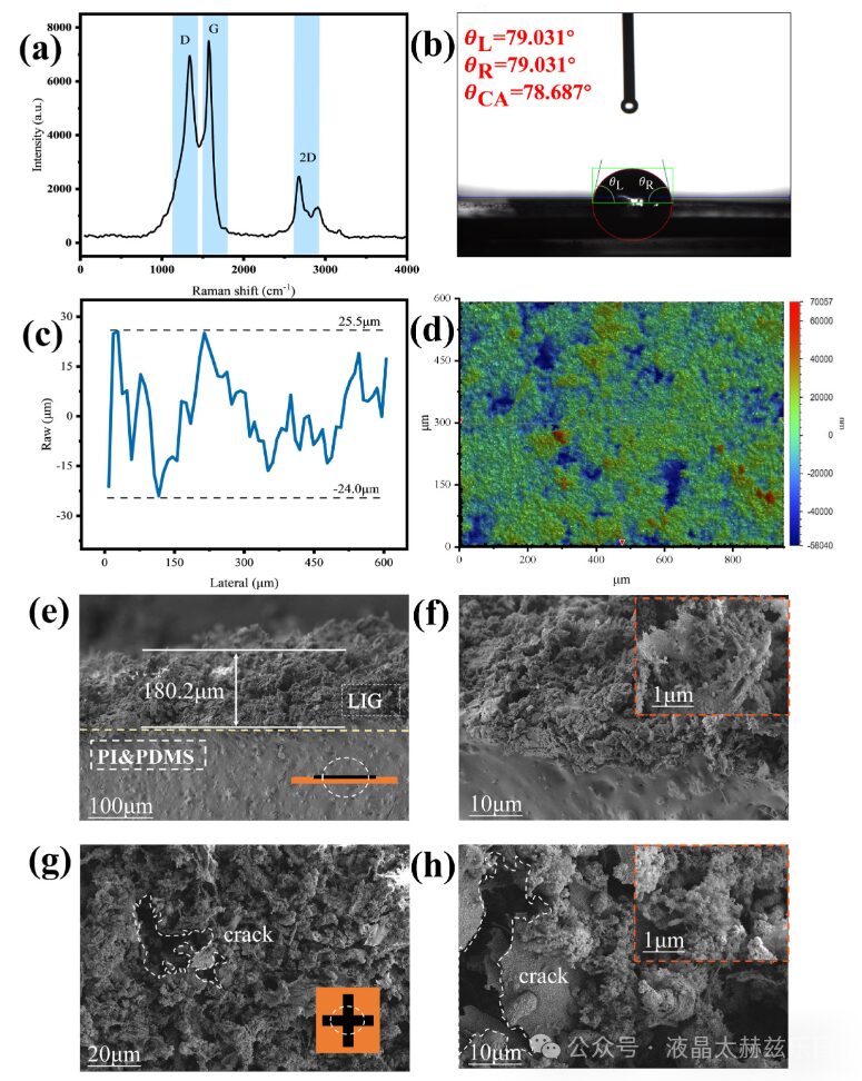 High-Sensitivity Multidirectional Strain Sensor Based on Laser-Induced Graphene for Human Activity Monitoring