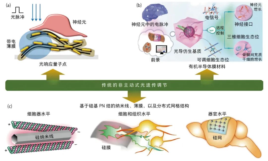 Micro-Nano Robots: New Technological Attempts in Treating Neurological Diseases