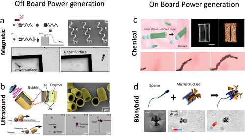 Review: Medical Micro/Nanorobots in Precision Medicine