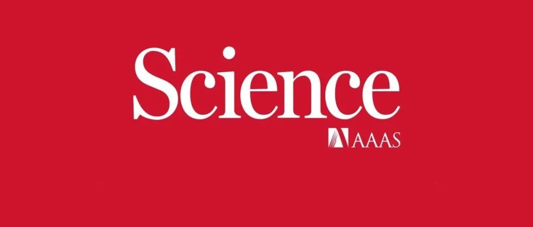 Amine-Functionalized Layered Double Hydroxides for Direct Air Capture of CO2