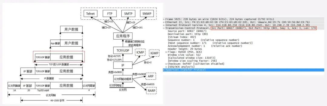 Introduction to OSI Reference Model and Data Encapsulation Principles