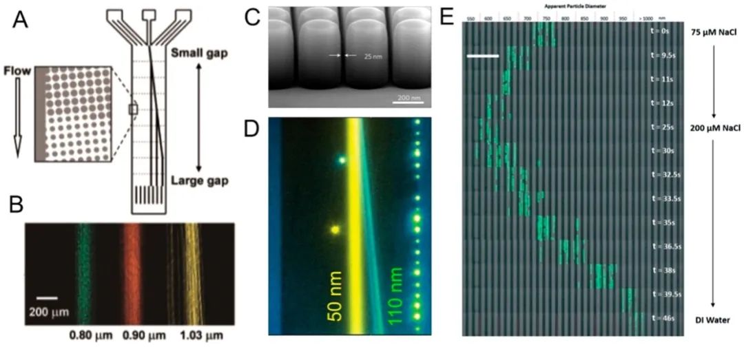 Microfluidic Isolation and Enrichment of Nanoparticles