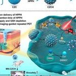 Self-Oxygenating & Glutathione-Depleting Microneedle Patch for Photodynamic Therapy of Tumors