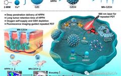 Self-Oxygenating & Glutathione-Depleting Microneedle Patch for Photodynamic Therapy of Tumors