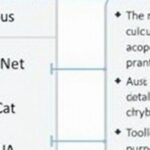 Comprehensive Analysis of Siemens PLC Communication Protocols
