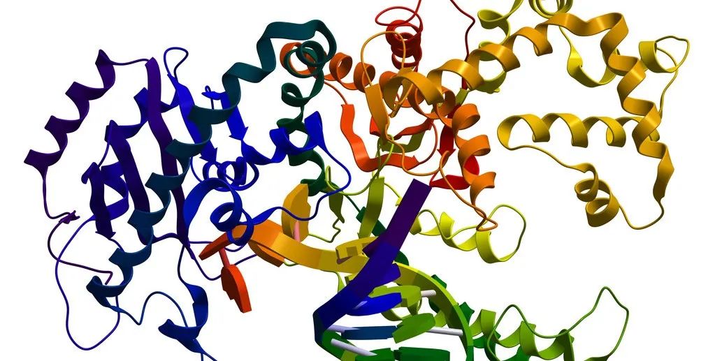 Key Points of DNA Methylation (BSP MSP) Technology