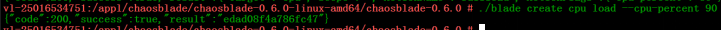 Chaos Engineering Practice: Fault Injection Testing for Distributed Architectures