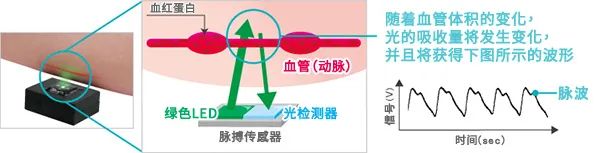 Summary of Various Sensor Principles