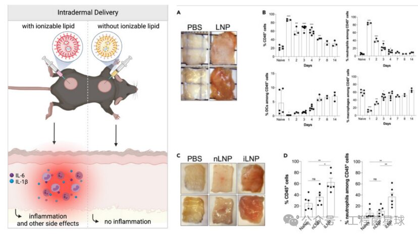 Understanding The Mechanism of Immune Response Triggered by Different Lipid Components in Lipid Nanoparticles (LNP)