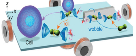 Review: Medical Micro/Nanorobots in Precision Medicine