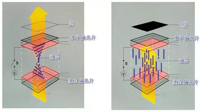 Disassembling a Borderless Phone Screen: A Deep Dive