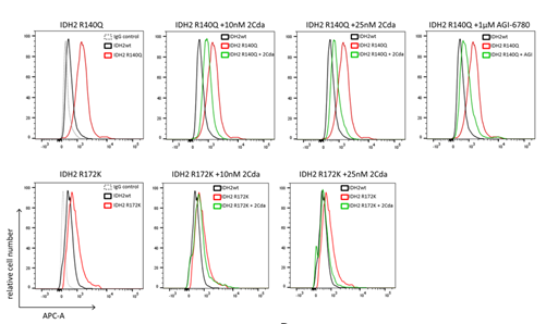 Cladribine Induction Therapy Improves Prognosis in IDH2 Mutant NK-AML Patients