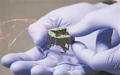 Micro Robots Can Self-Transform to Fit into Tight Spaces