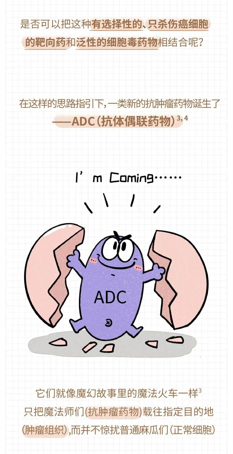 Understanding ADC Drugs: A Visual Guide
