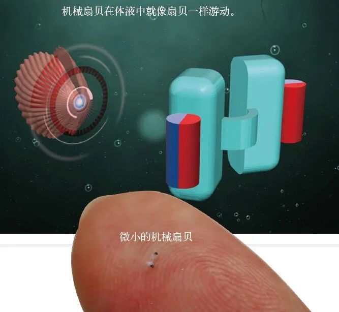 Micro Robots Showcasing Unique Abilities
