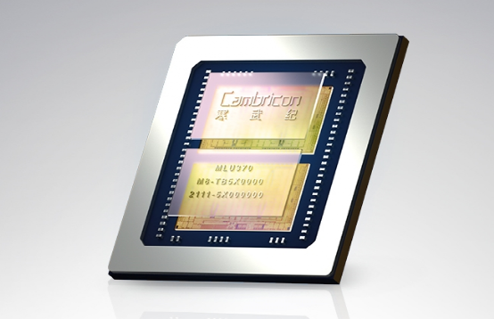 Top 10 AI Chips: Global and Domestic