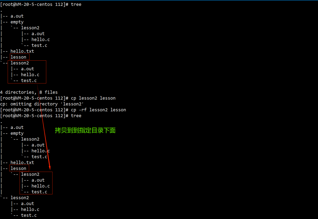 Comprehensive Guide to Linux File Management: Essential Knowledge and Practical Commands!