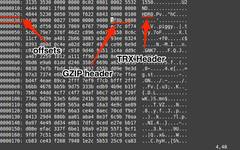 Reversing and Exploiting Embedded Devices: Software Stack Part 1