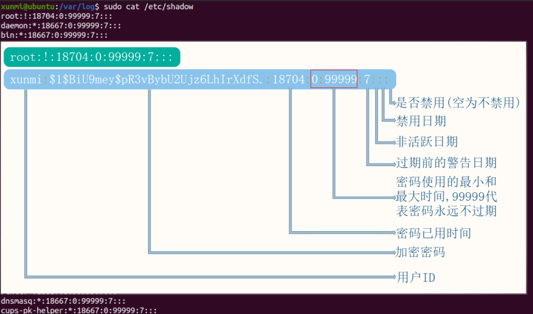 Essential Linux Commands for Information Gathering and Penetration Testing