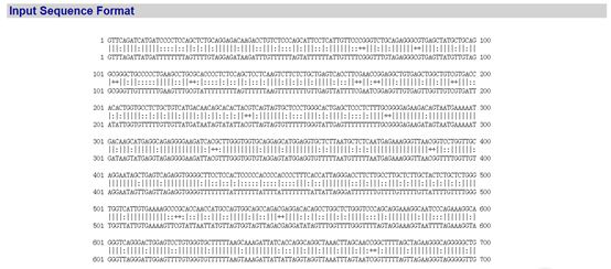 Bisulfite Sequencing PCR (BSP) Method