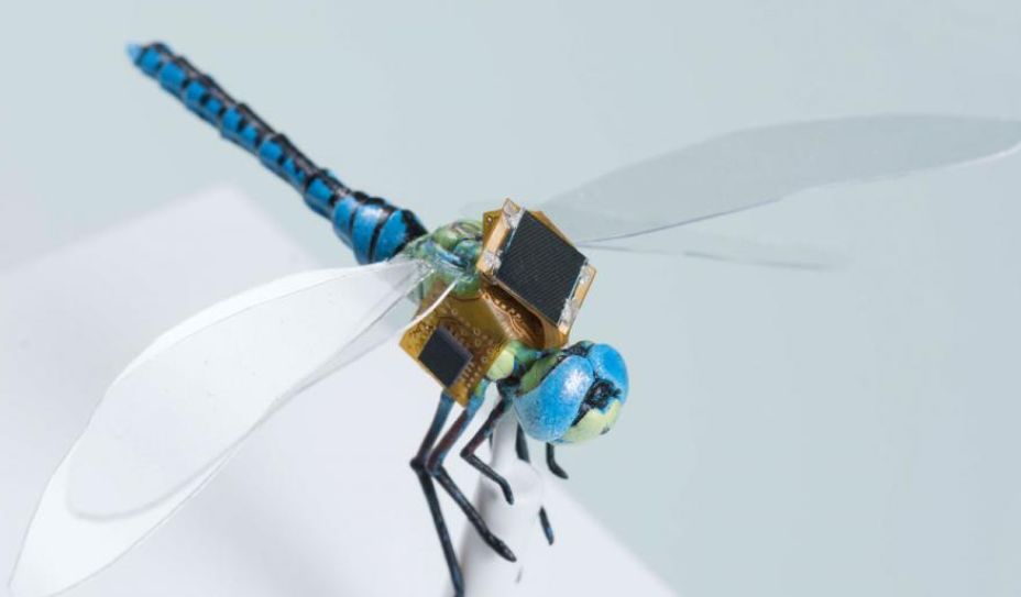 Micro Robots and Their Capabilities