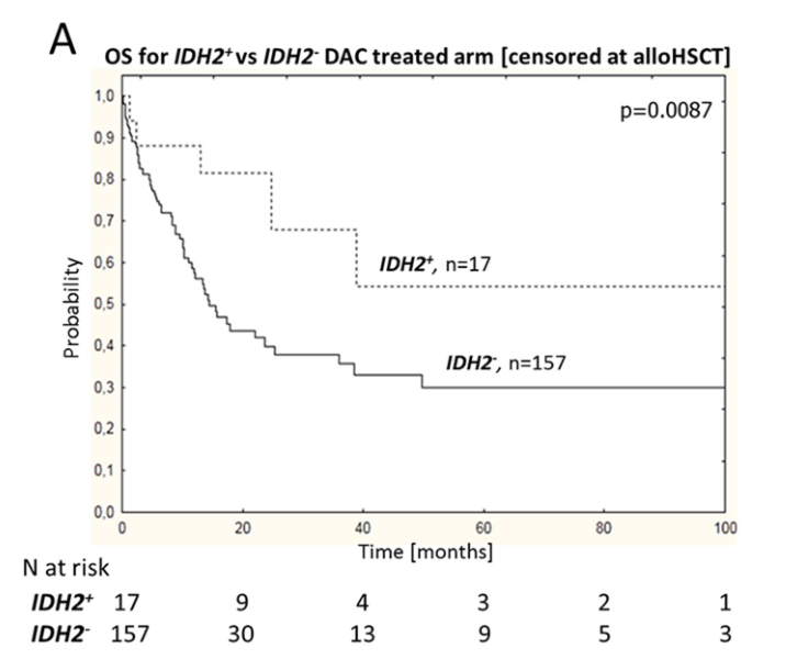 Cladribine Induction Therapy Improves Prognosis in IDH2 Mutant NK-AML Patients