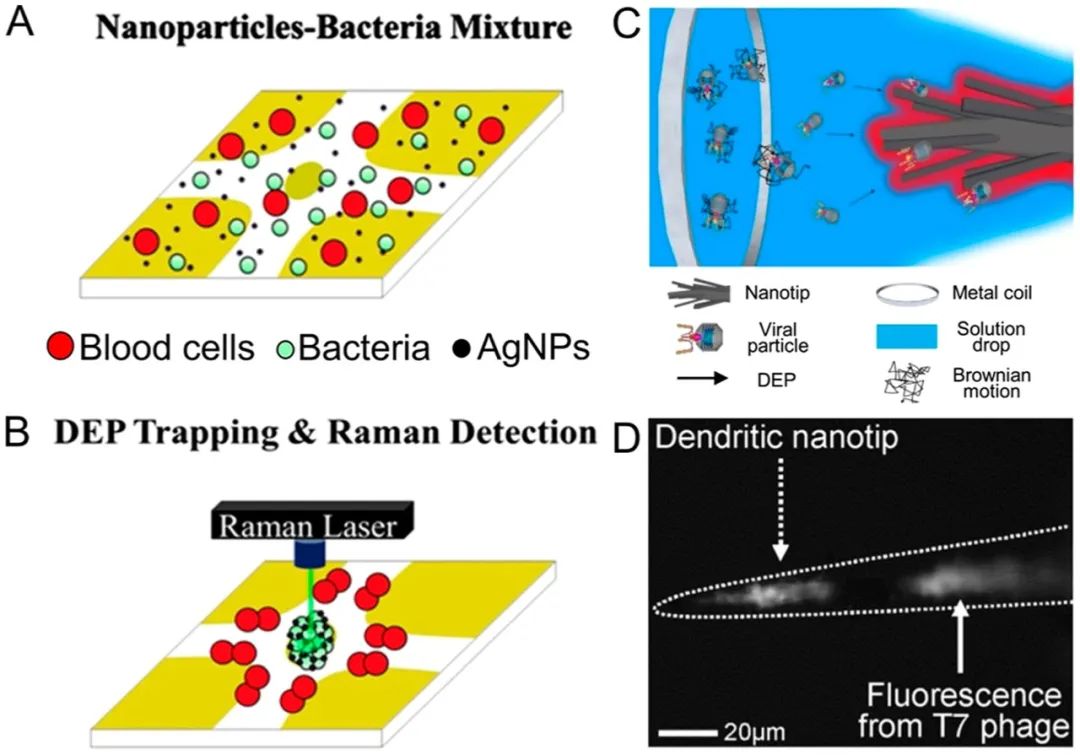 Microfluidic Isolation and Enrichment of Nanoparticles