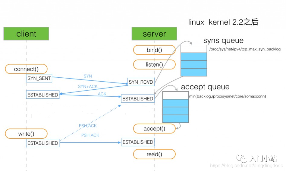 Linux Networking Basics and Performance Optimization