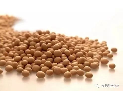 Maillard Reaction of Soy Protein Isolate with Glucose and Maltose Under Humid Heat Conditions