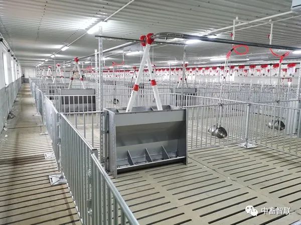 Analysis of the Underlying Logic and Equipment Costs of Smart Feeding