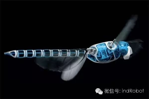 Exploring Beautiful and Adorable Bionic Robots