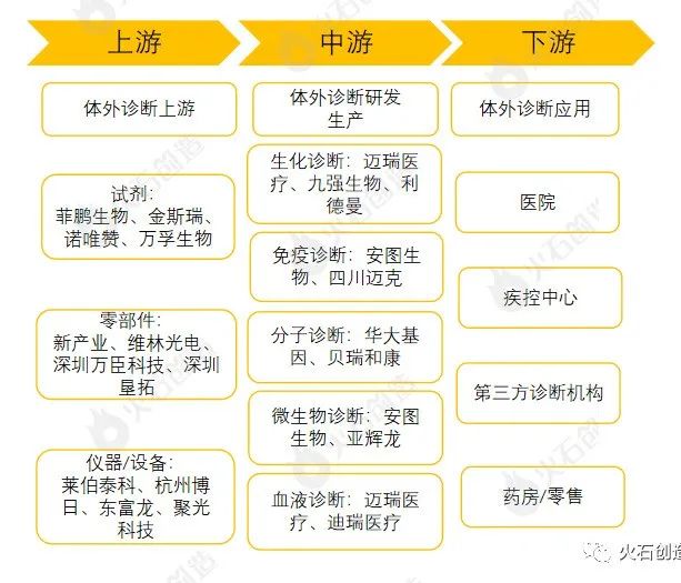 Analysis of In Vitro Diagnostic Industry Chain and Distribution Map