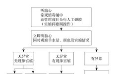Application of Artificial Rupture of Membranes: Key Operational Points Explained