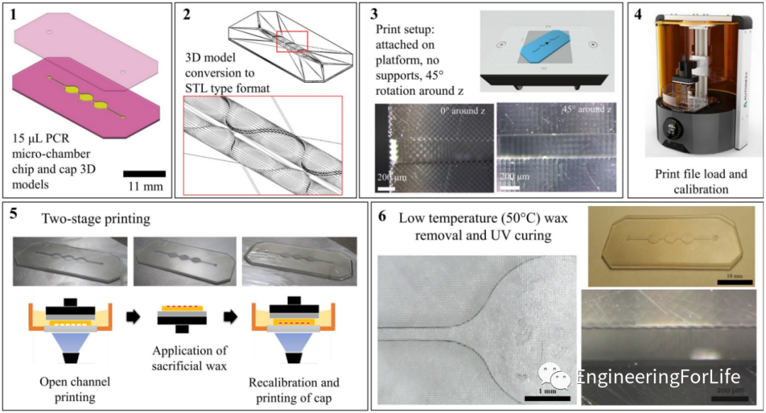 Applications of Projection Photopolymerization in 3D Bioprinting: Microneedles, Microspheres, and Microfluidic Chips