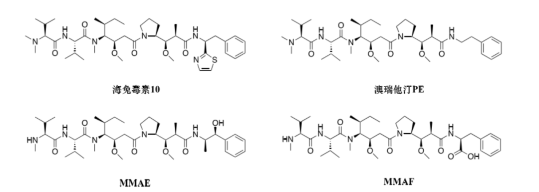 Choosing ADC Toxins: IC50, Mechanisms, and Clinical Insights