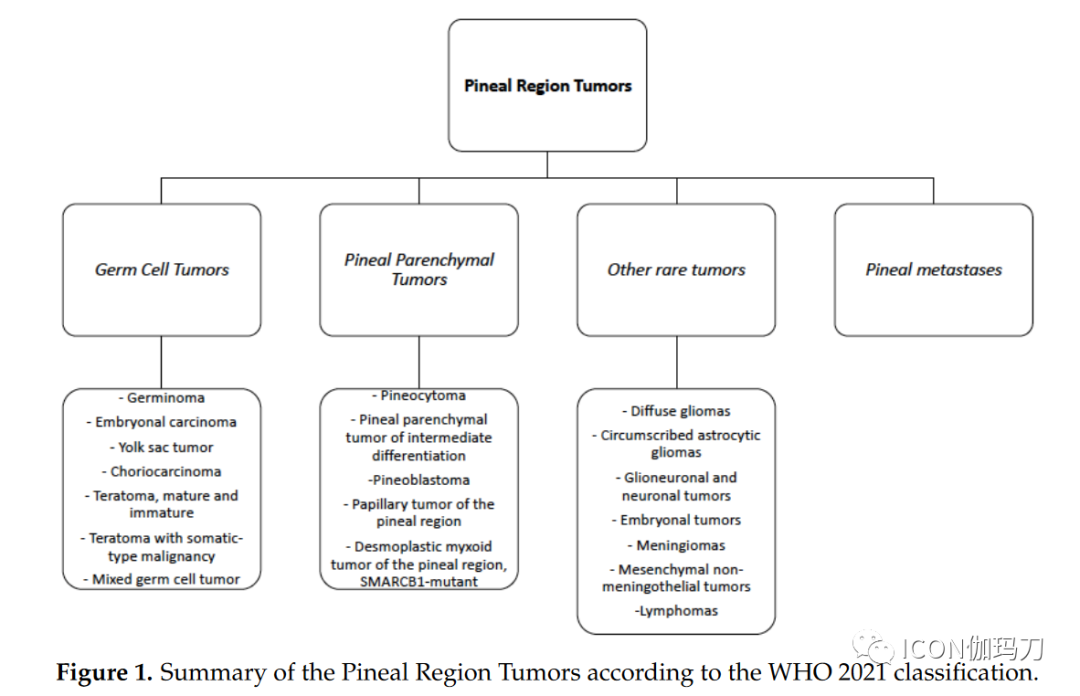 Diagnosis and Treatment of Pineal Region Tumors in Adults: A EURACAN Overview