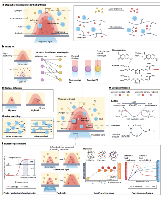 High-Resolution Projection-Based 3D Bioprinting Review